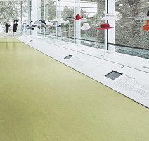 Forbo Marmoleum Decibel on Order 326535 avocado фото 2 | FLOORDEALER